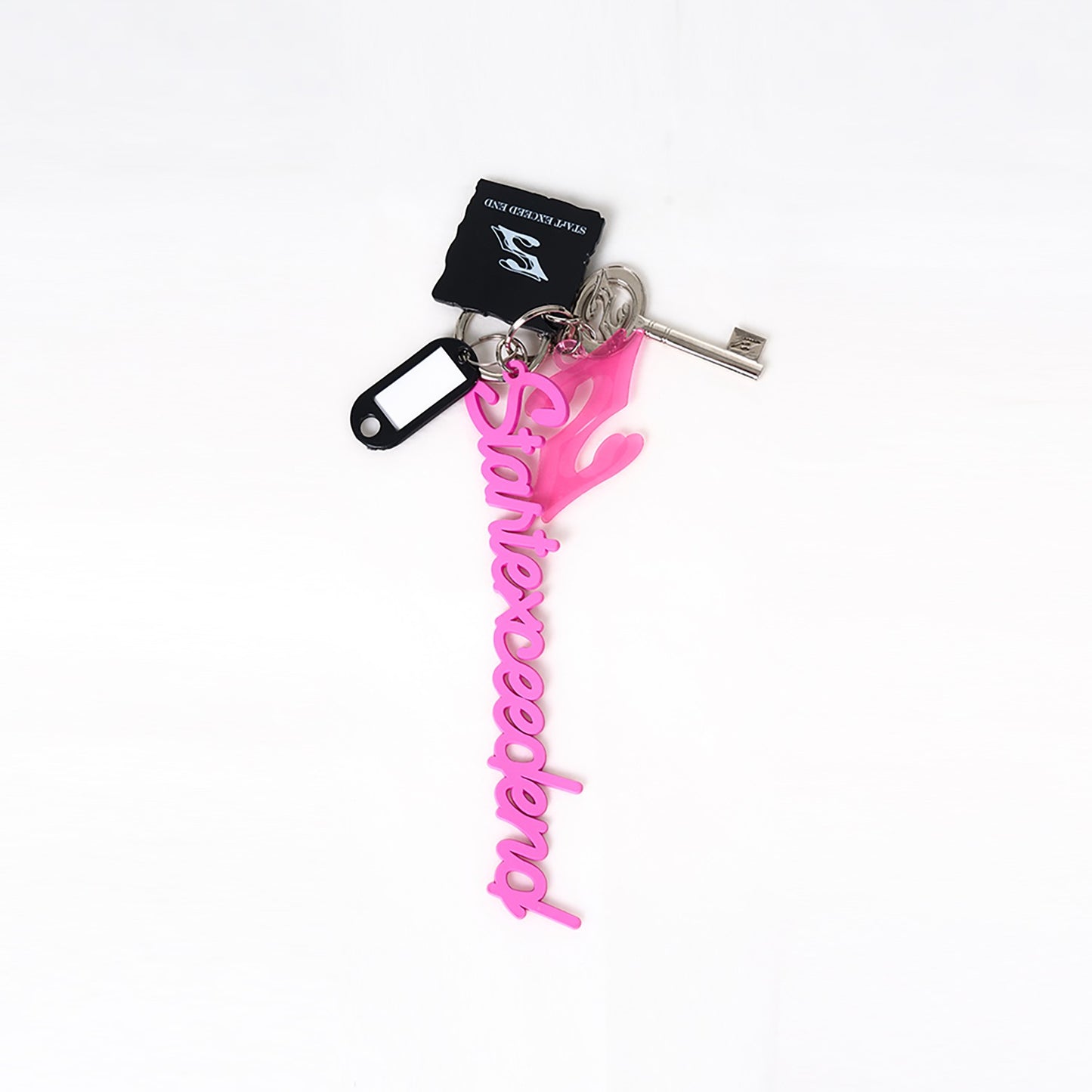 Logo Keychain Accessory WN14859