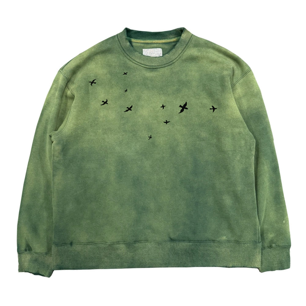 Graffiti Pigeon Print Washed Heavyweight Sweatshirt WN16693