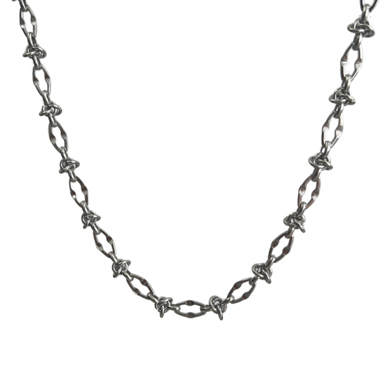 Titanium Steel Necklace WN19259