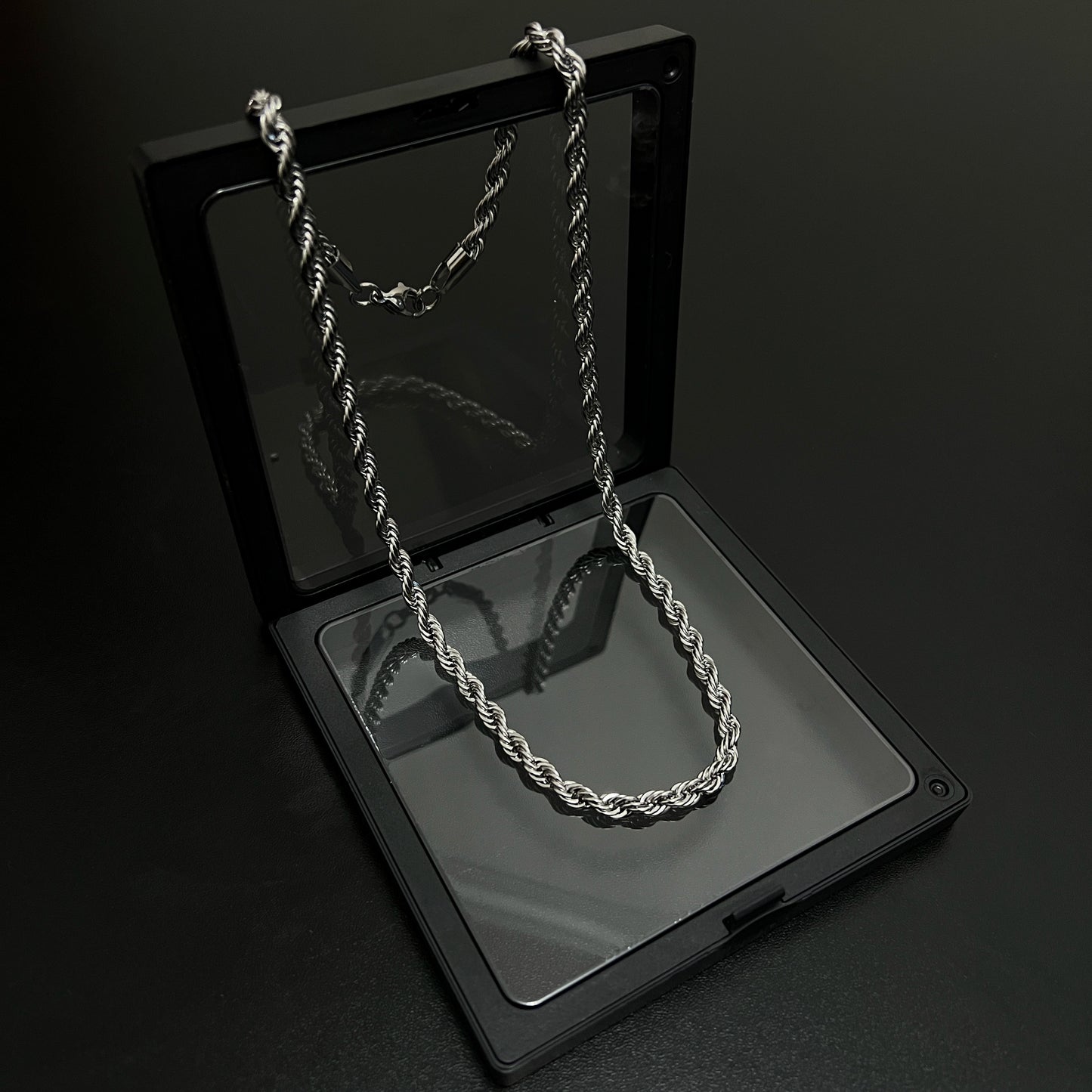 Twist Chain Titanium Steel Necklace WN19224