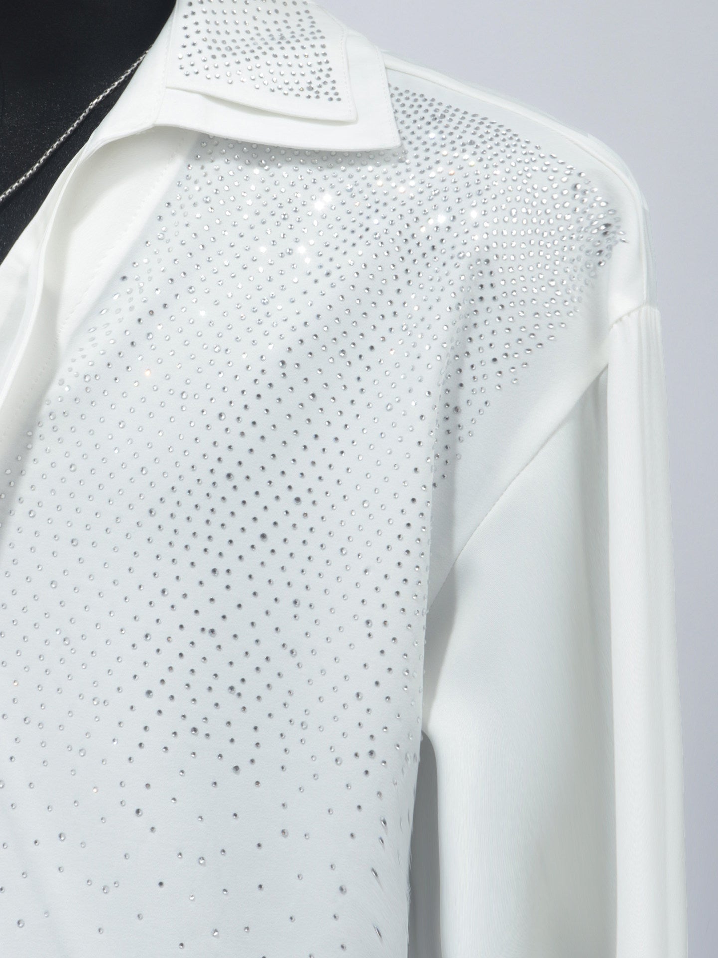 Rhinestone Decor Long Sleeve Shirt WN23708