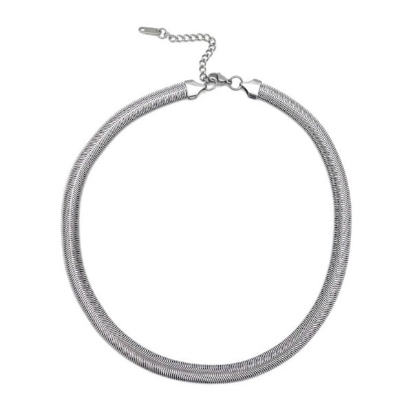 Snake Bone Titanium Steel Bracelet WN19229