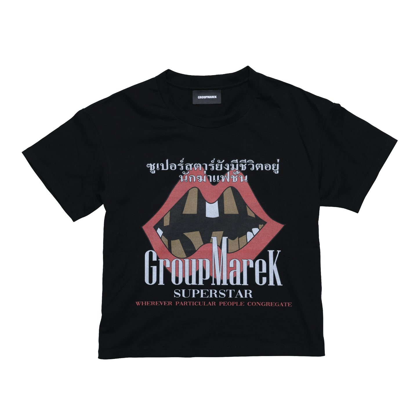 Graphic Print Short Sleeve T-Shirt WN17203