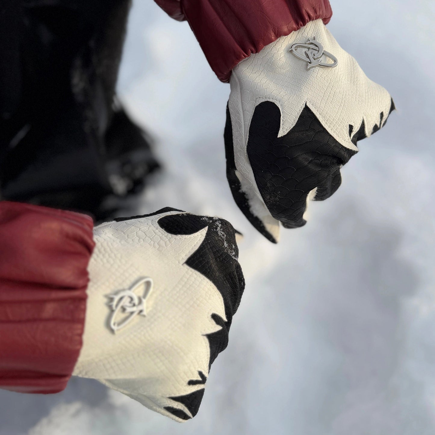 Waterproof Thermal Fleece Lining Gloves WN22632