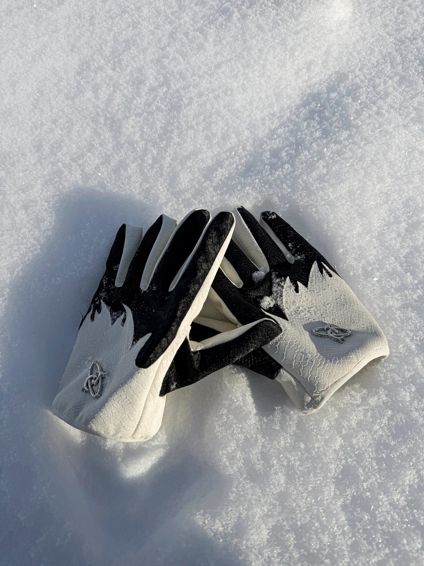 Waterproof Thermal Fleece Lining Gloves WN22632