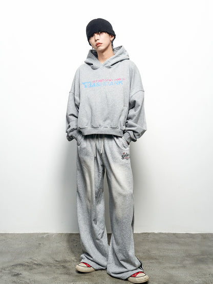 Colorblock Letter Print Oversize Cropped Hoodie WN22966