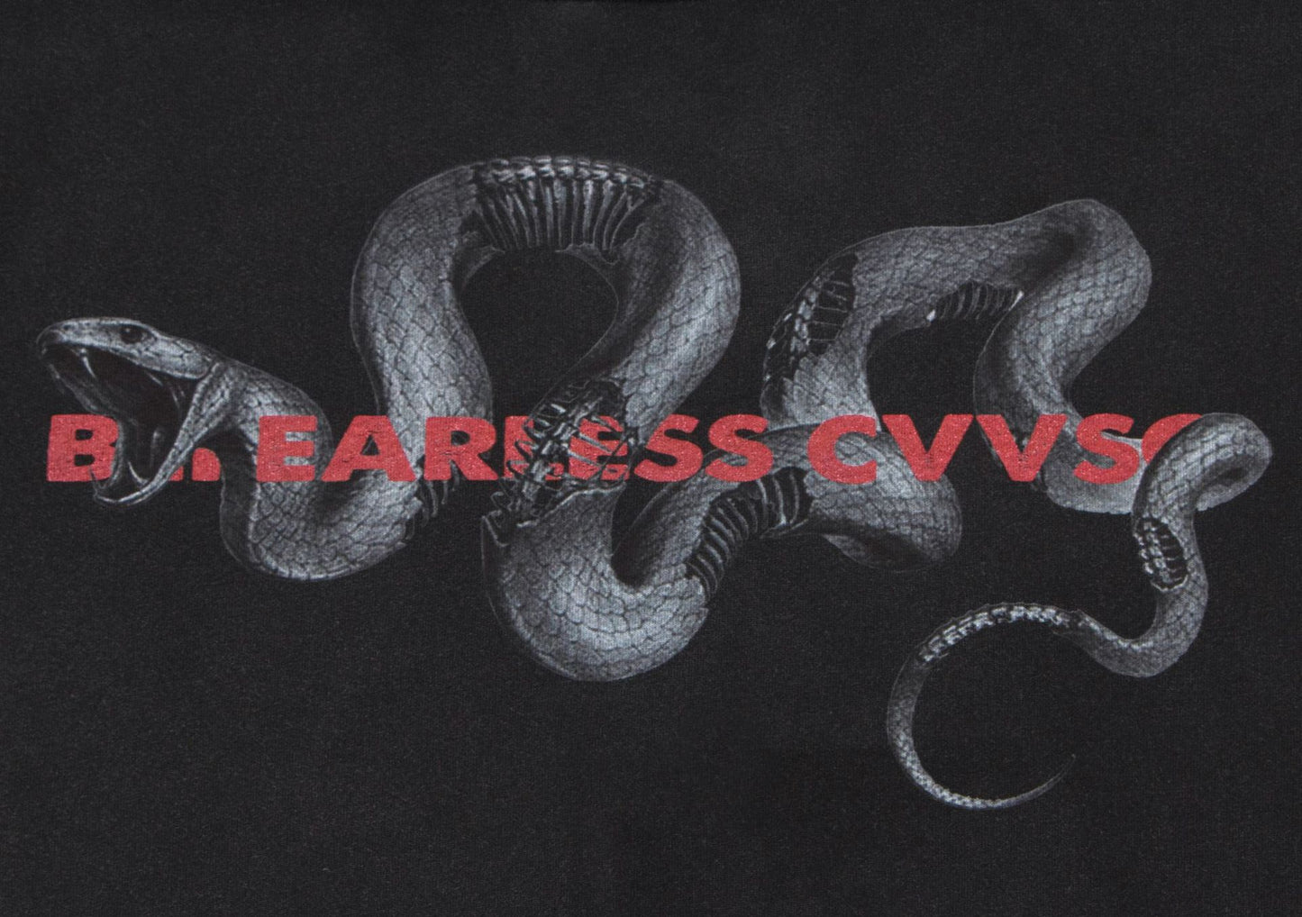 Washed Snake Print Pullover Hoodie WN23061