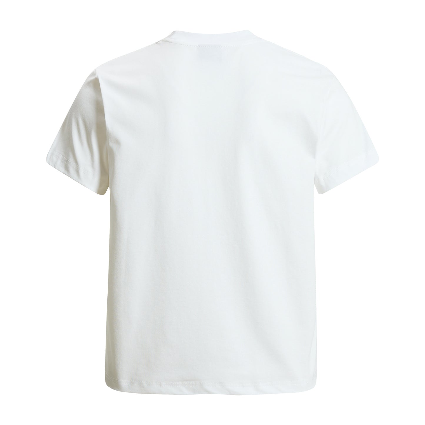 Cool Touch Graphic Print Short Sleeve T-Shirt WN26047