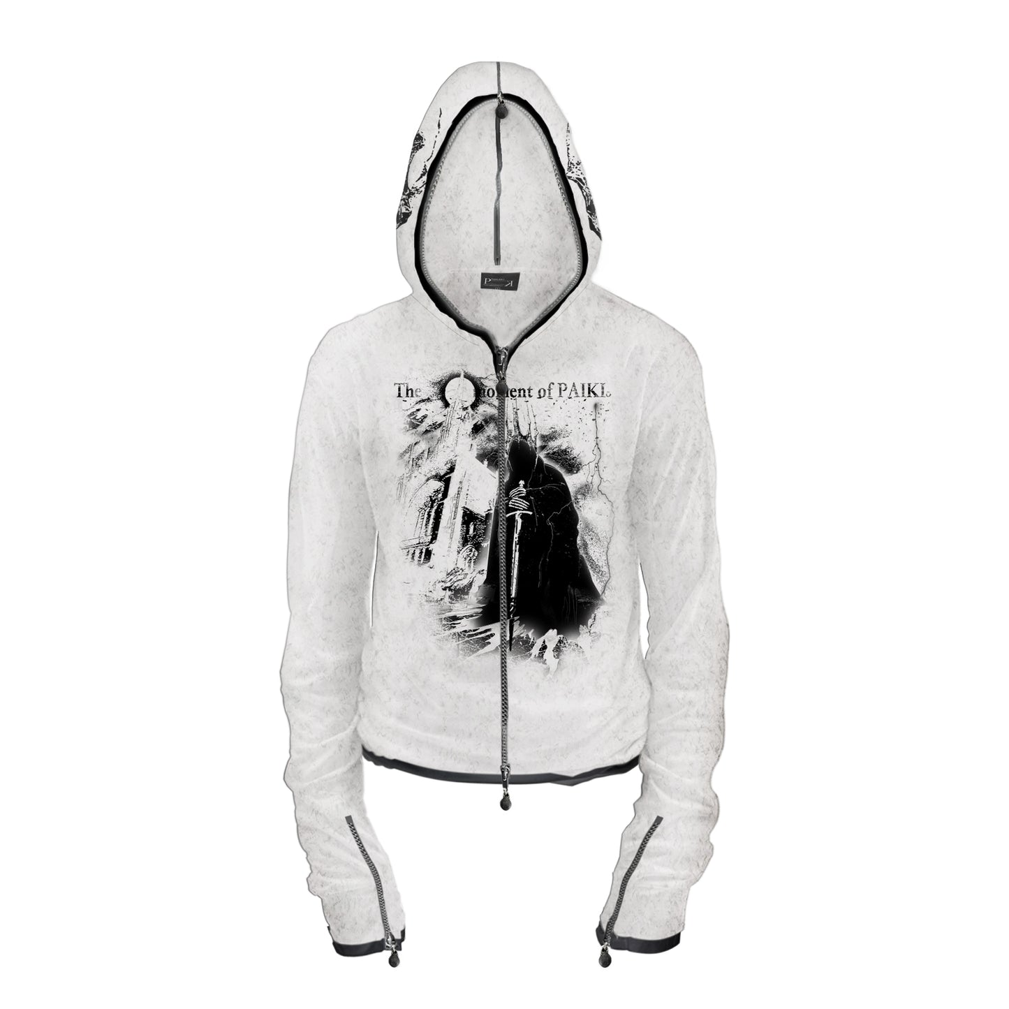 Graphic Art Print Zipper Hoodie WN20902