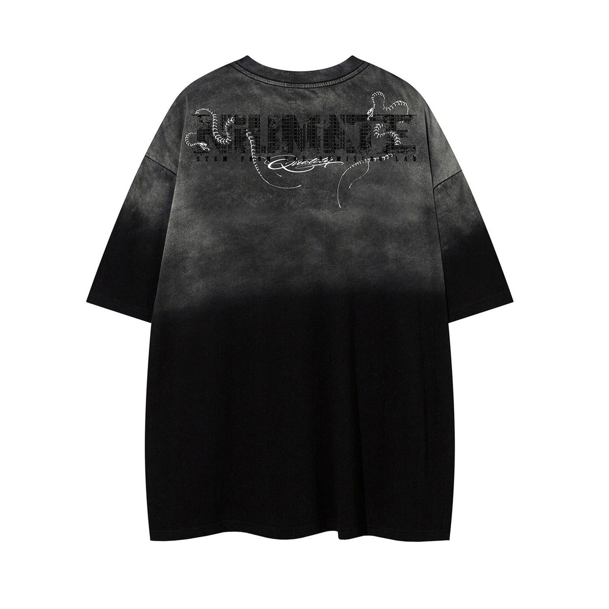 Gradient Embroidery Letter Short Sleeve T-Shirt WN26940