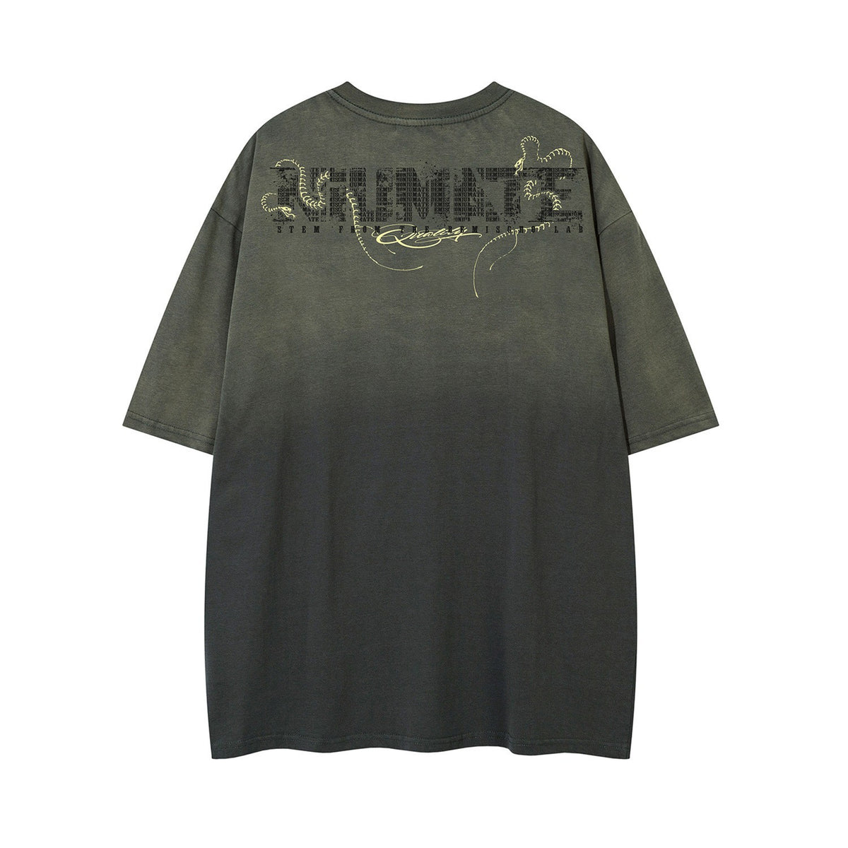 Gradient Embroidery Letter Short Sleeve T-Shirt WN26940