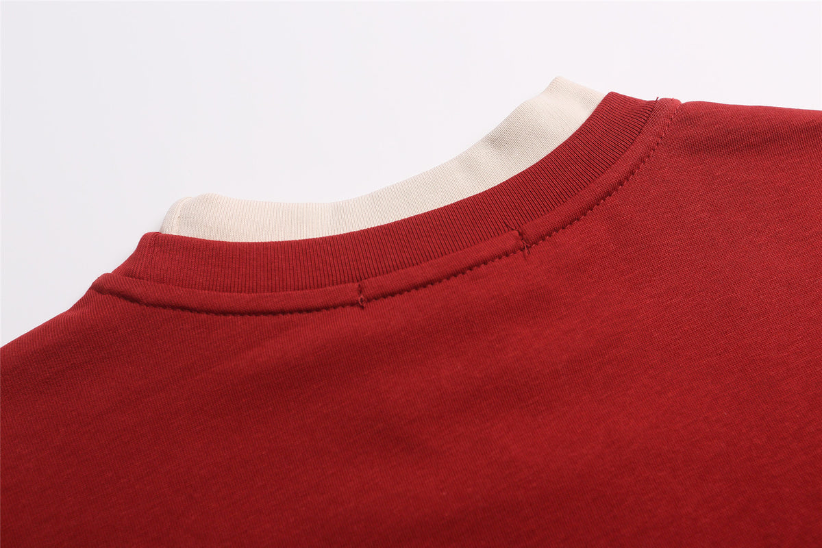 Patchwork Color Block Oversize Long Sleeve T-Shirt WN26936