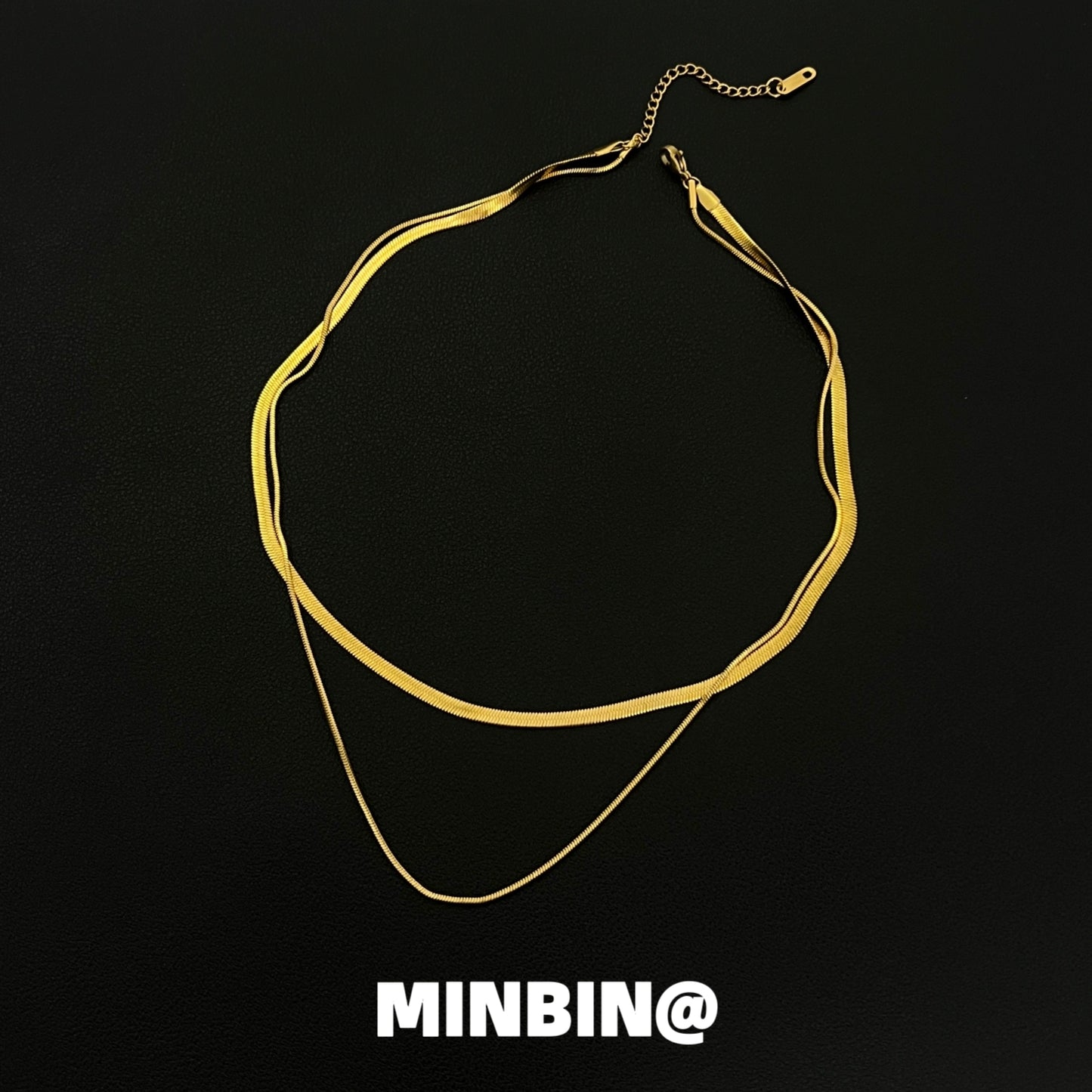 Double Layer Snake Bone Titanium Steel Necklace WN19234