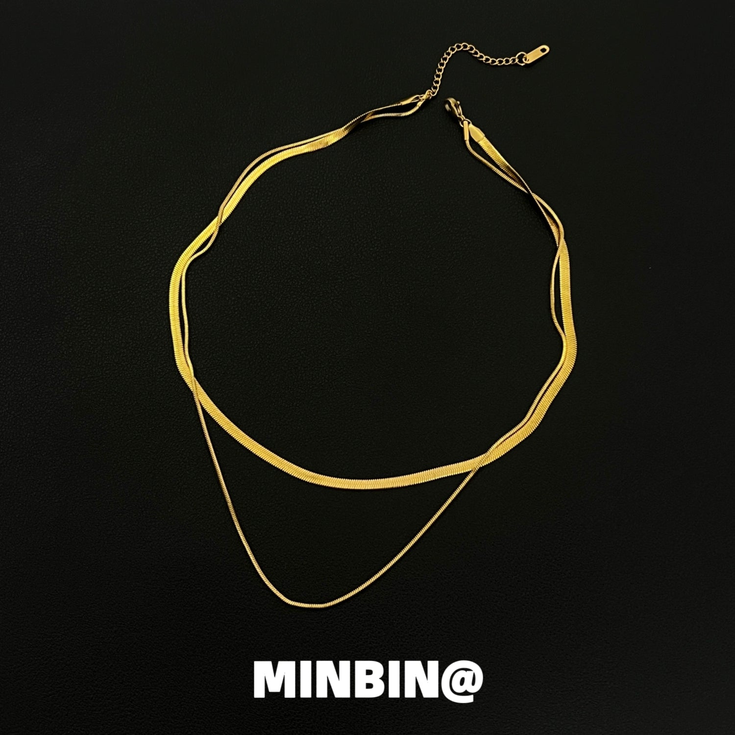 Double Layer Snake Bone Titanium Steel Necklace WN19234