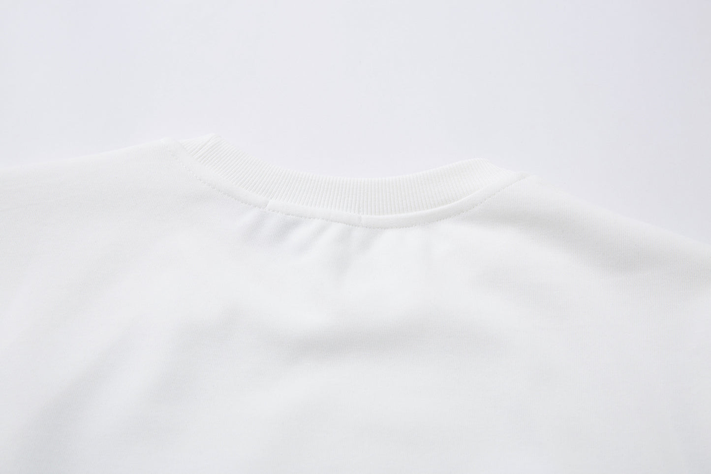 Raglan Long Sleeve T-Shirt WN25546