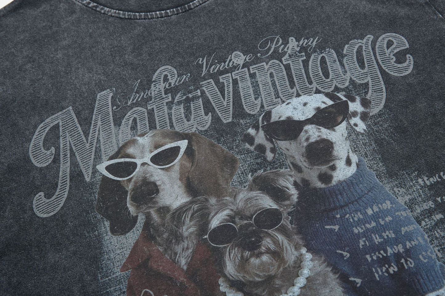 Washed Dog Graphic Cotton Oversize Short Sleeve T-Shirt WN25739