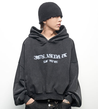 Letter Print Oversize Cropped Hoodie WN22973