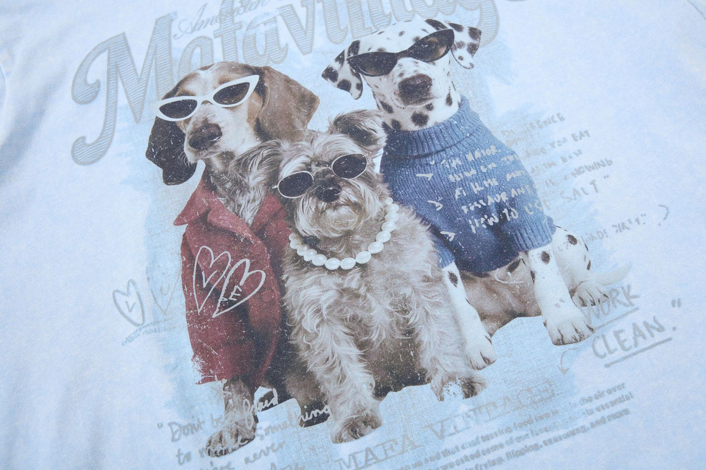 Washed Dog Graphic Cotton Oversize Short Sleeve T-Shirt WN25739