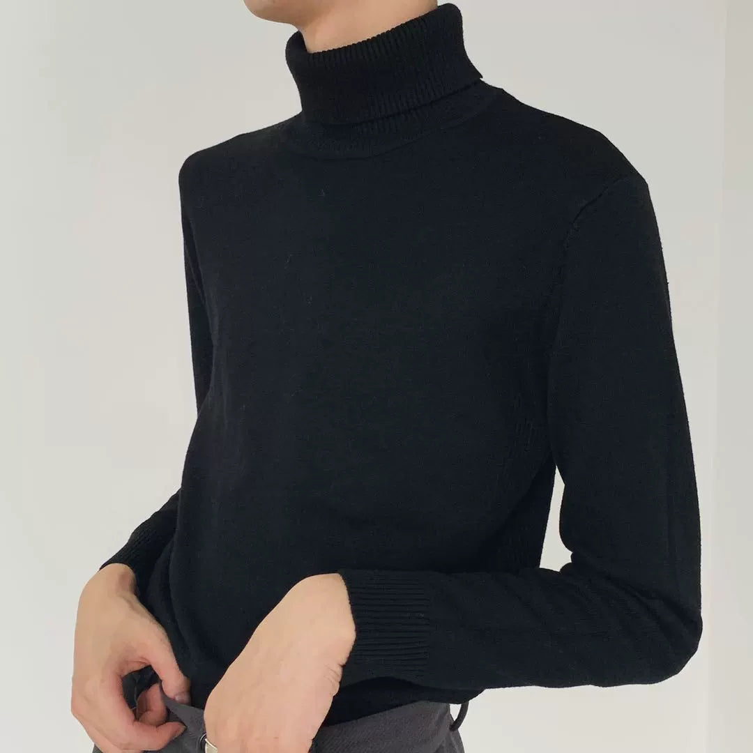 Turtle Neck Elastic Knit Sweater WN9609