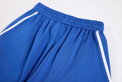 Sporty Stripe Panel Wide Leg Sweatpants WN26135
