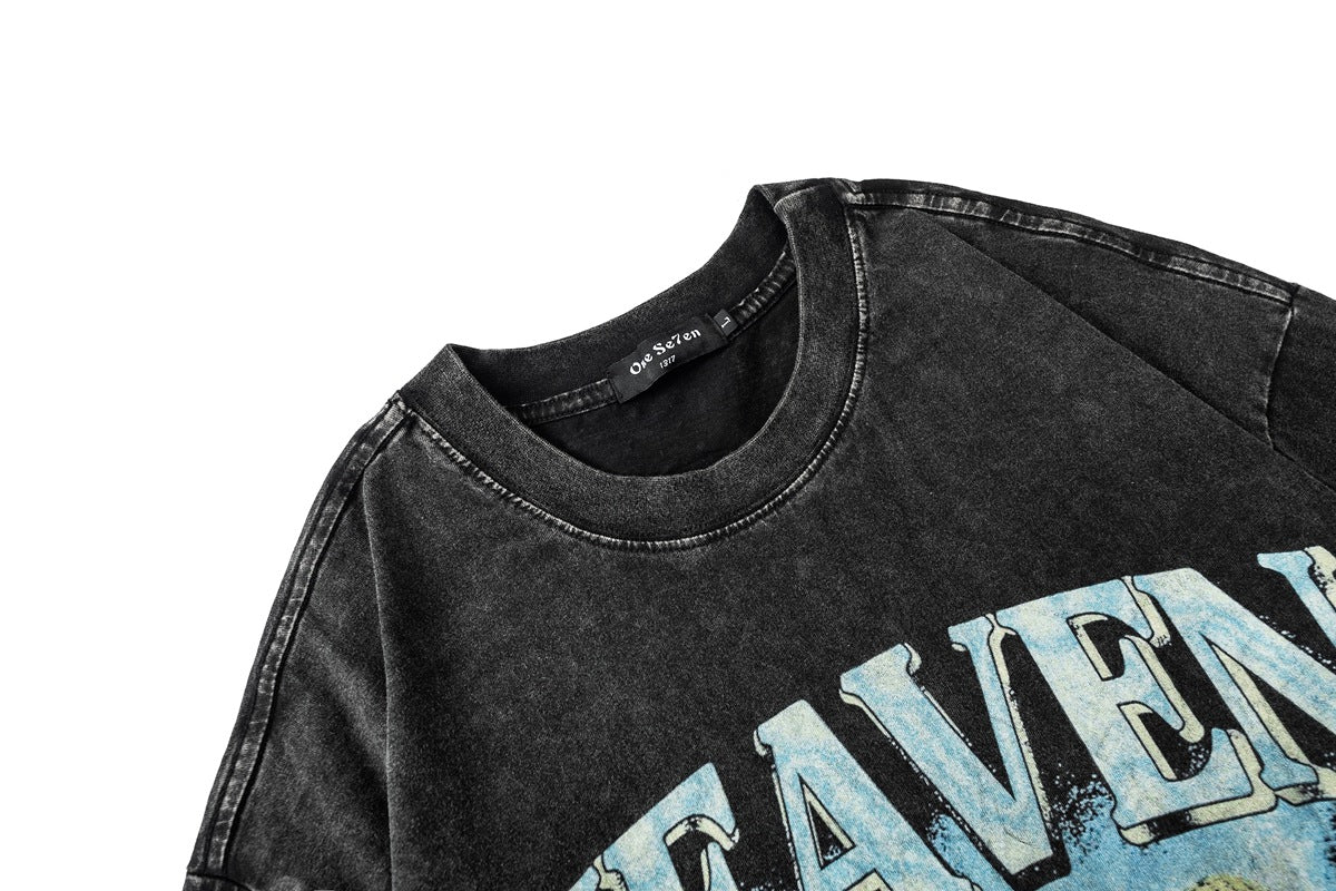Washed Skull Print Cotton Short Sleeve T-Shirt WN25698
