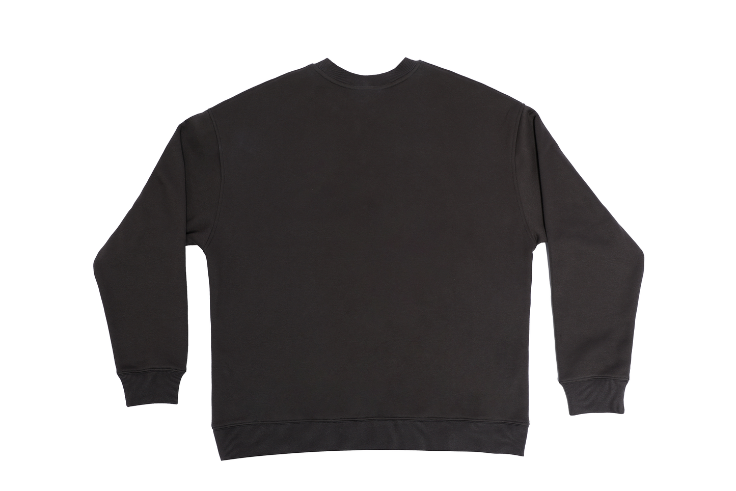 Graphic Print Heavyweight Sweatshirt WN20968