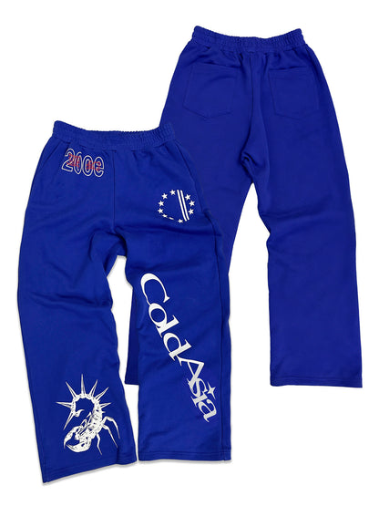 Wide Leg Graphic Print Sweat Pants WN27167