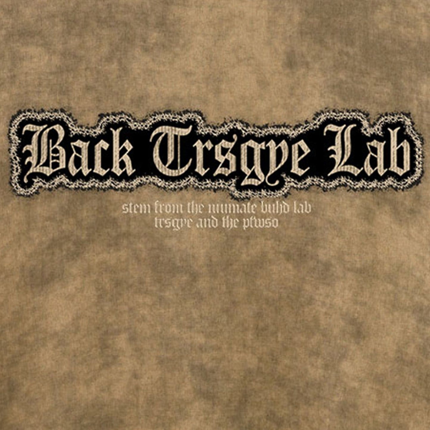 Graphic Print Short Sleeve T-Shirt WN16153