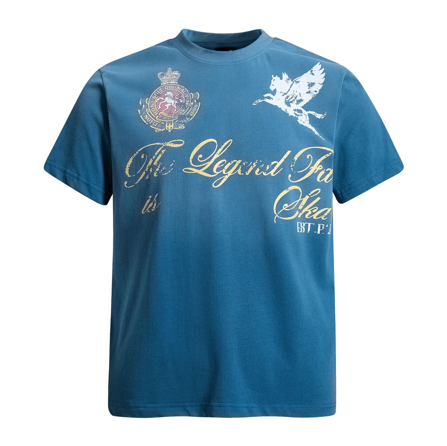 Washed Damage Badge Short Sleeve T-Shirt WN26070