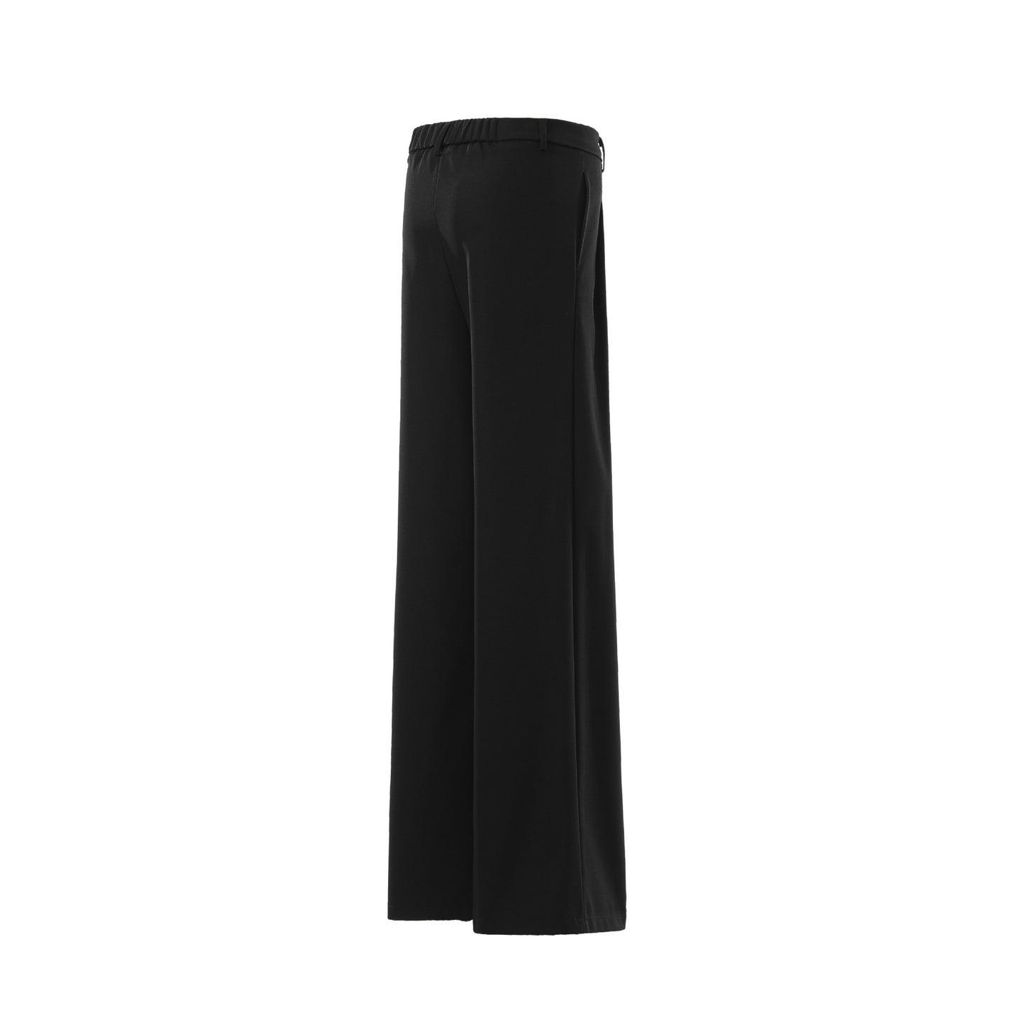 Drape Pleats Wide Leg Trousers WN25664