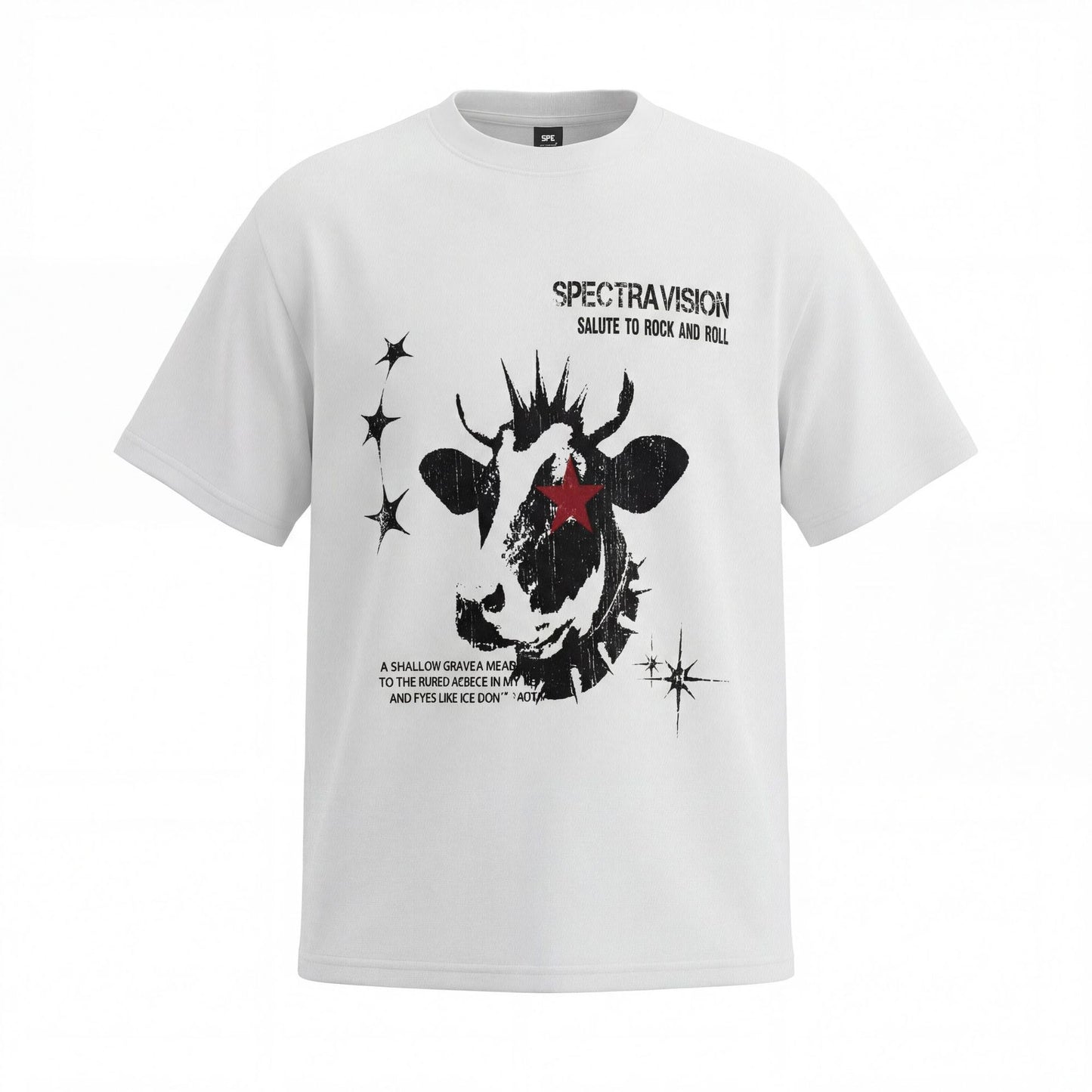Graphic Print Short Sleeve T-Shirt WN25523