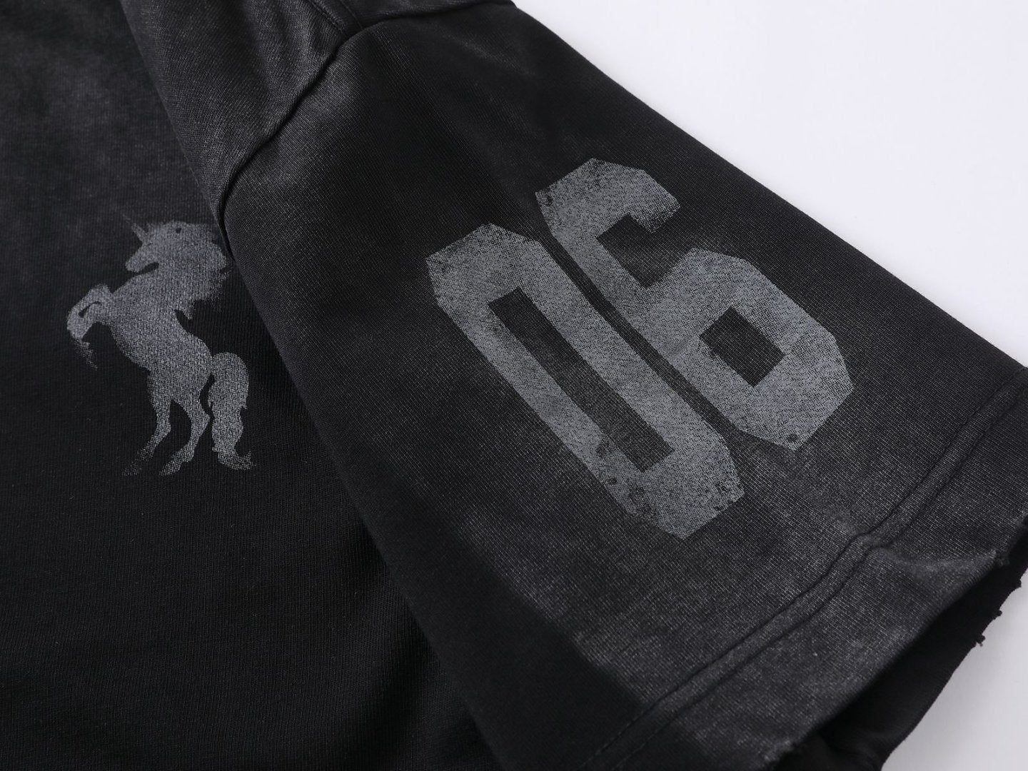 Washed Horse Graphic Print Short Sleeve T-Shirt WN26036