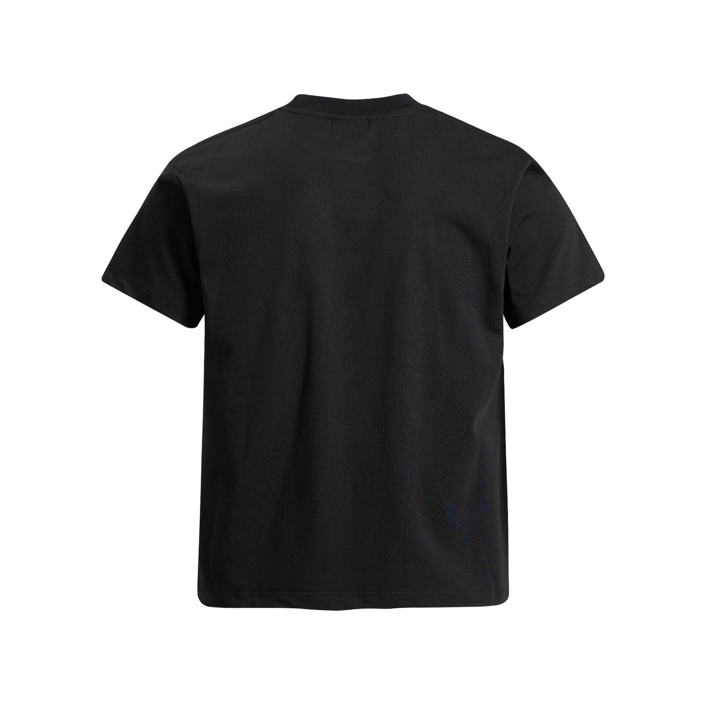 Graphic Art Print Short Sleeve T-Shirt WN25955