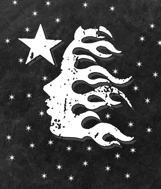 Washed Star Flame Face Print Short Sleeve T-Shirt WN26935