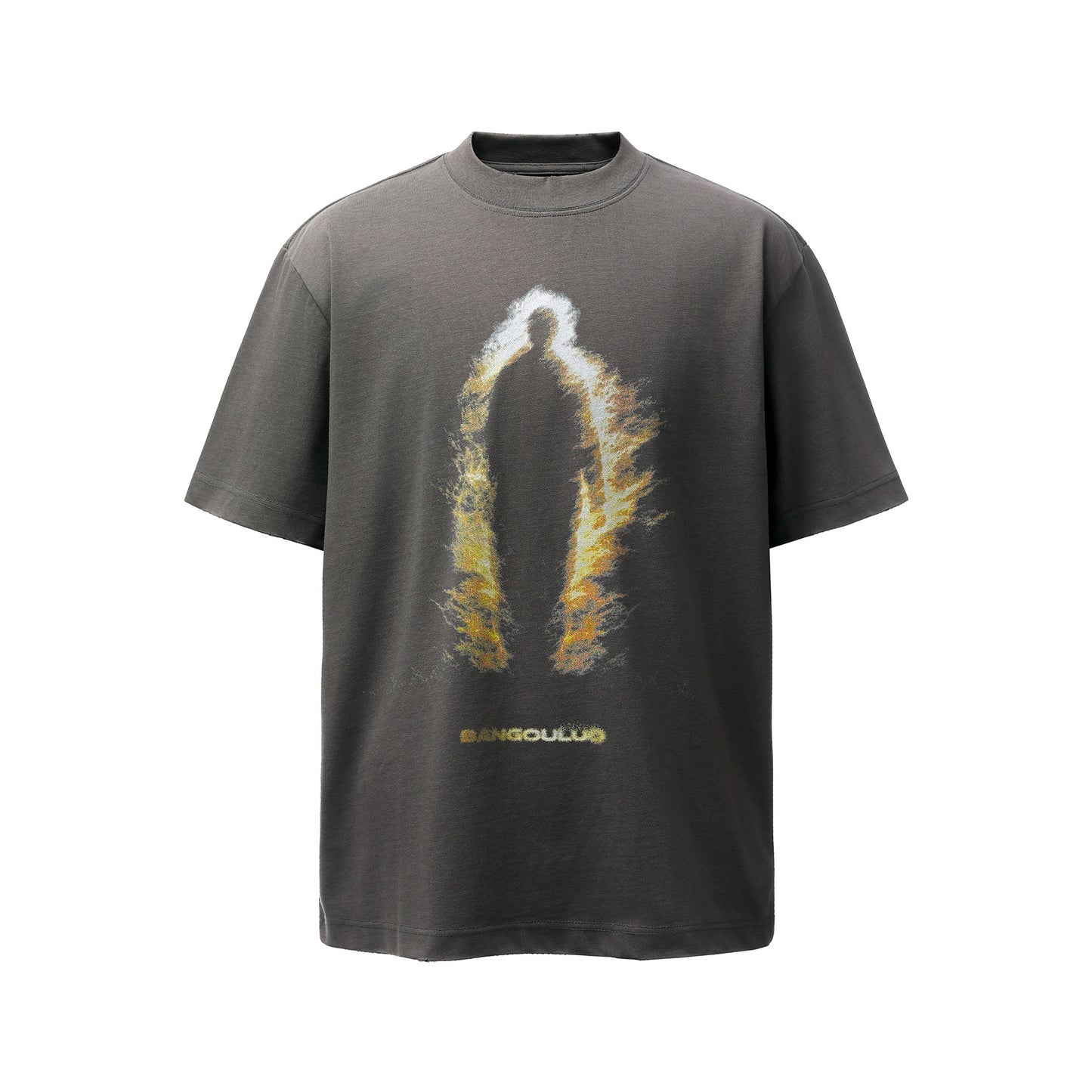 Graphic Art Print Short Sleeve T-Shirt WN25478