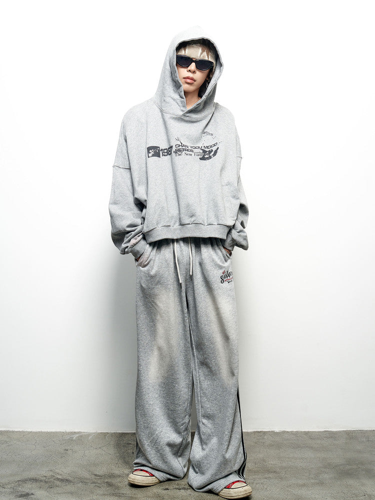 Letter Print Oversize Cropped Hoodie WN22967