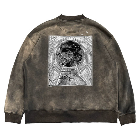 Graffiti Pigeon Print Washed Heavyweight Sweatshirt WN16693