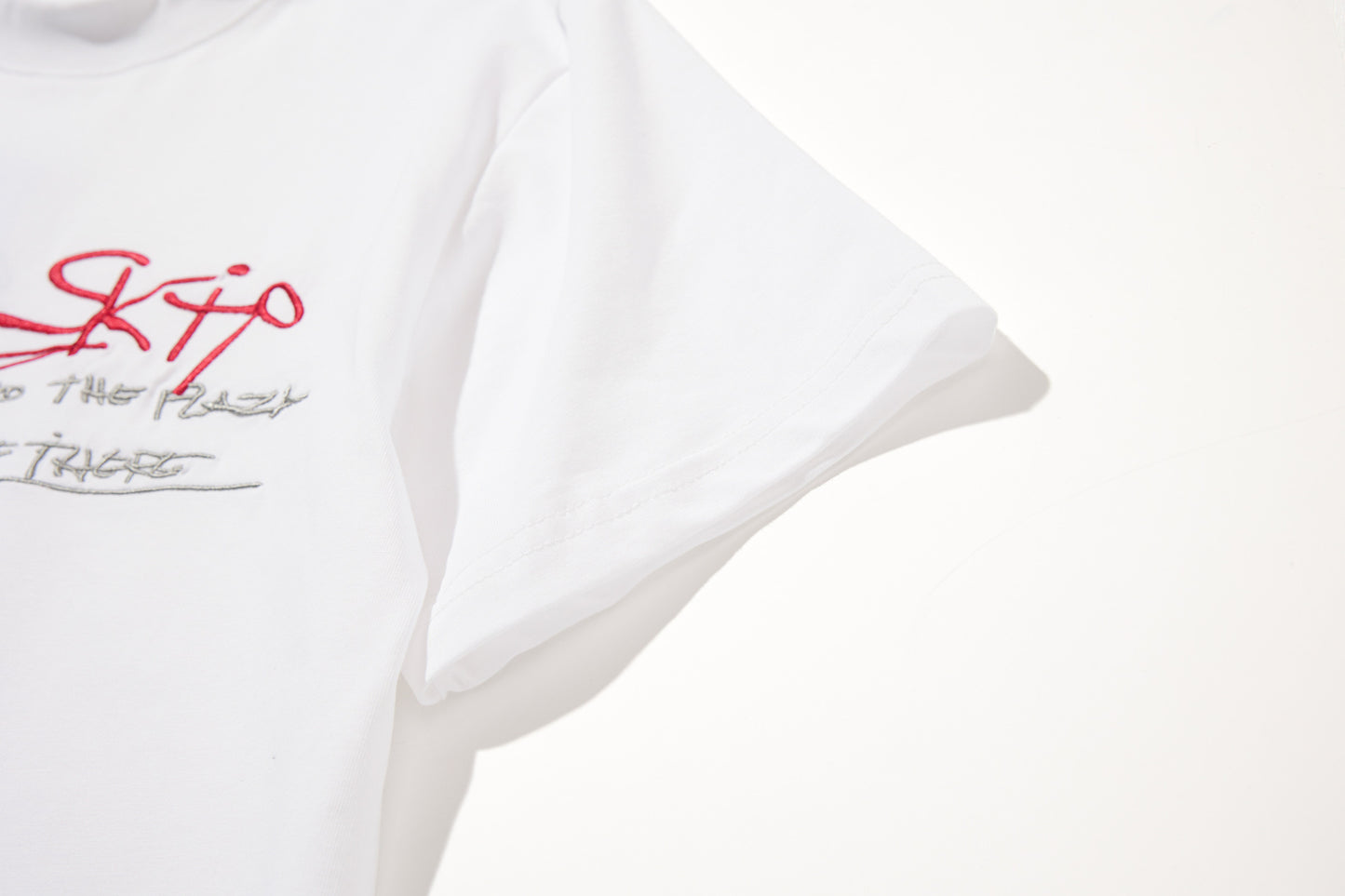 Letter Embroidery Short Sleeve T-Shirt WN25989