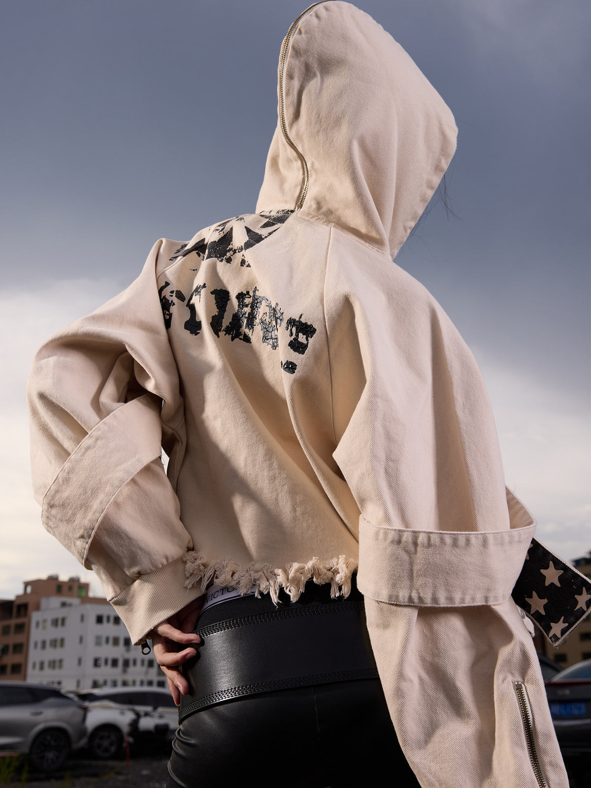 Cropped Graphic Zipper Hoodie WN27133