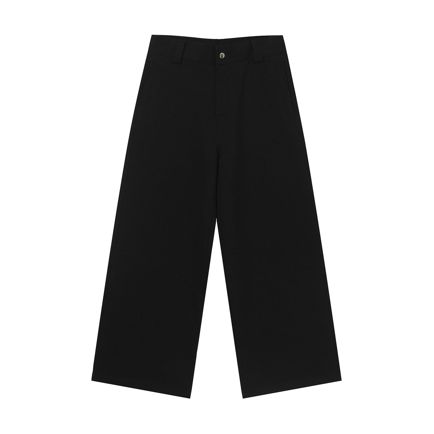 Wide Leg Pleats Seam Trousers WN24925