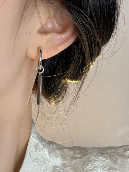 Stainless Steel Studs Earrings WN19228