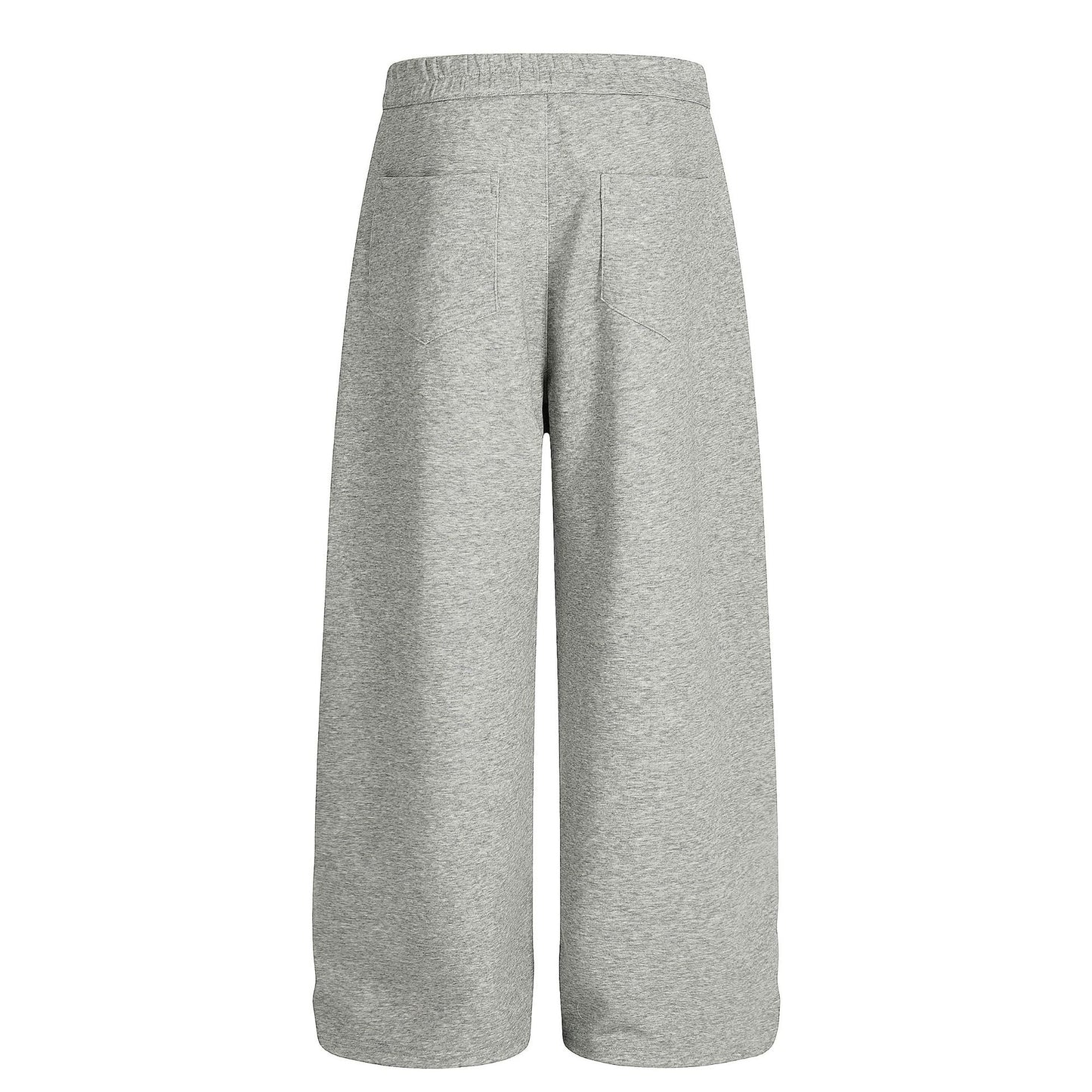 Drape Pleats Wide Leg Sweatpants WN26081
