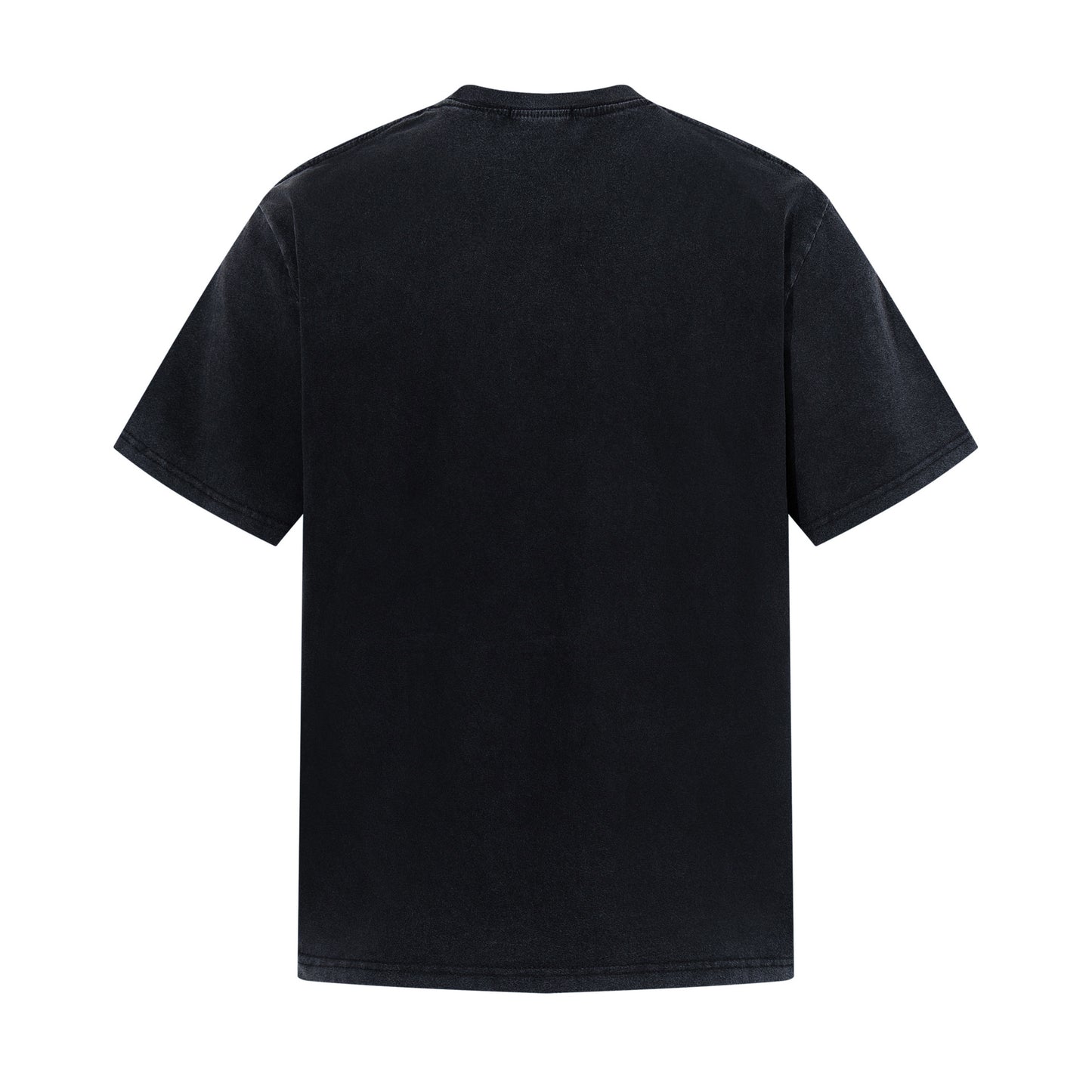 Rock Photo Print Short Sleeve T-Shirt WN25632