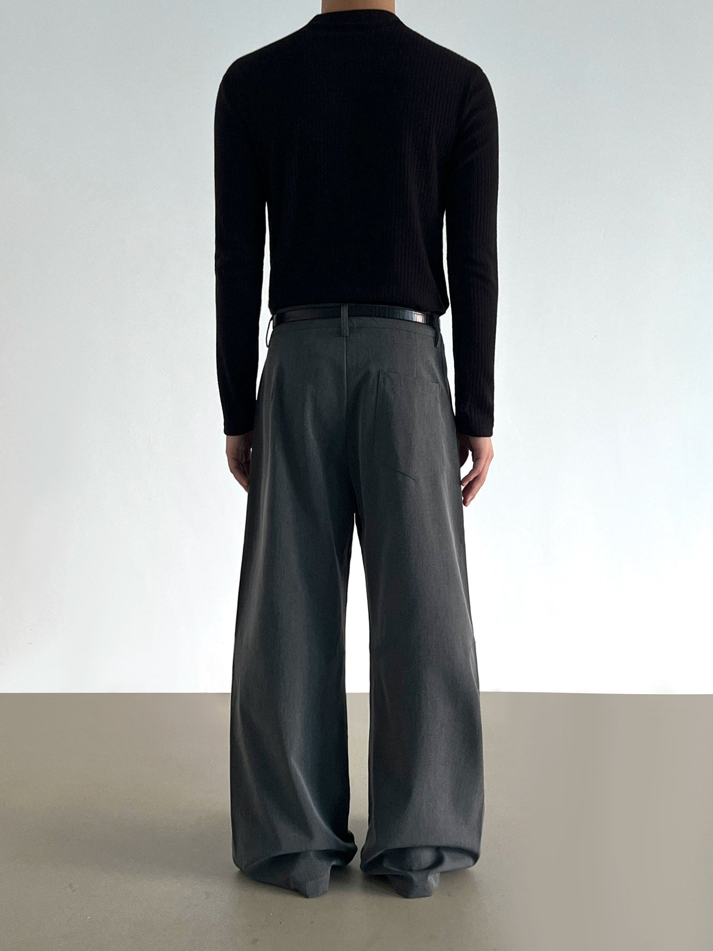 Pleats Plain Wide Leg Trousers WN21197