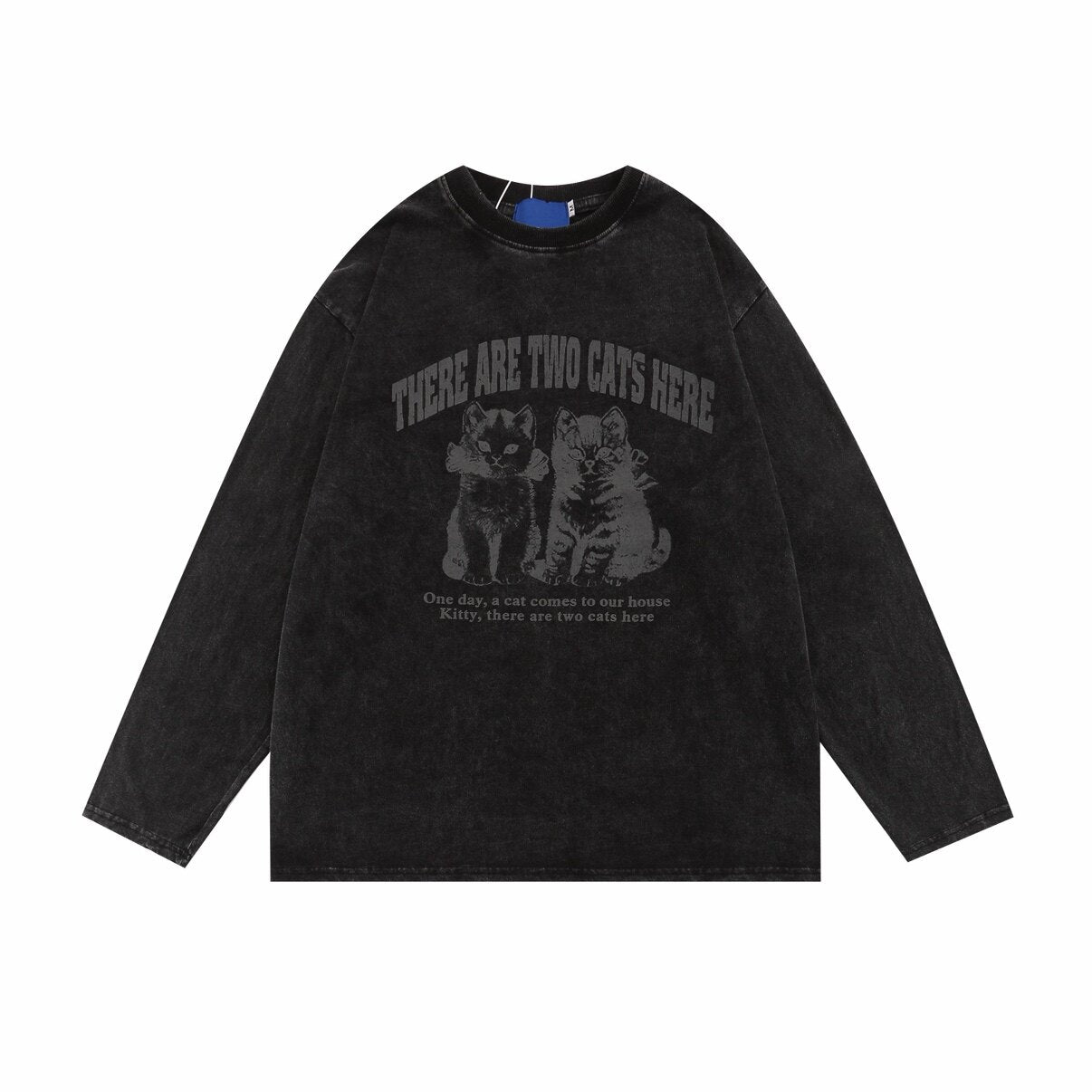 Cat Graphic Print Oversize Long Sleeve T-Shirt WN24486