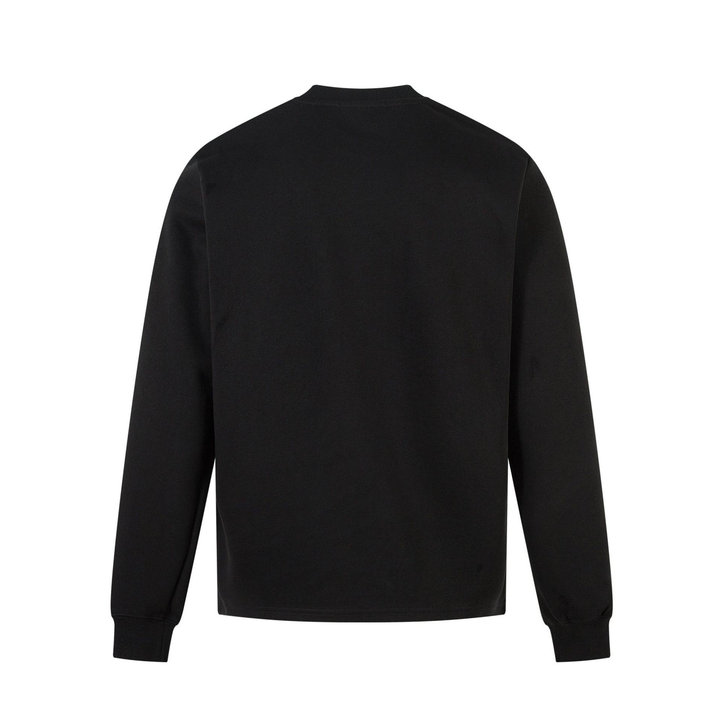 Raglan Long Sleeve T-Shirt WN25546