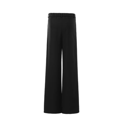 Drape Pleats Wide Leg Trousers WN25664