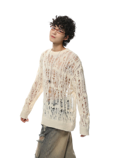 Oversize Hollow Hole Knit Sweater WN7096