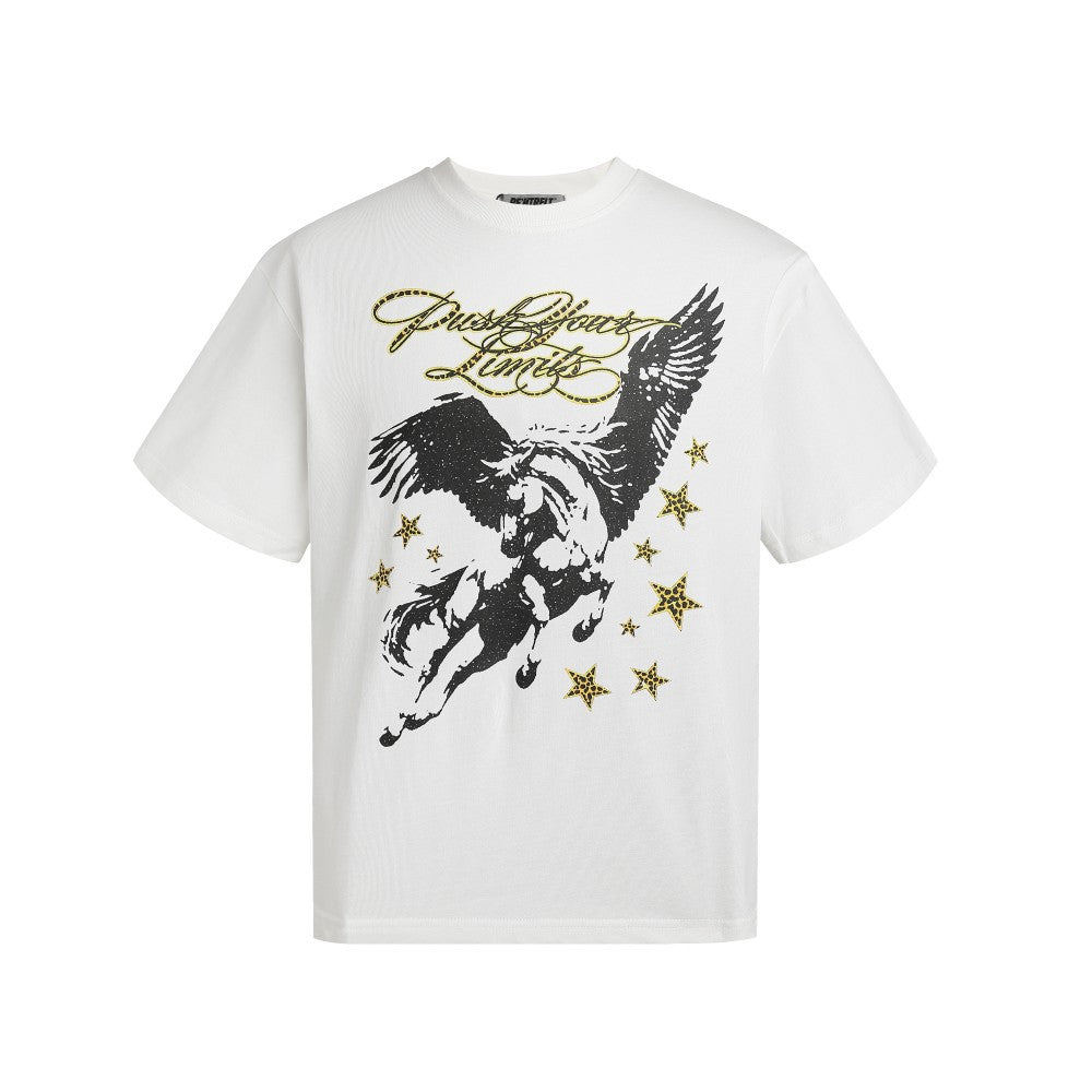 Wing Graphic Print Short Sleeve T-Shirt WN27977