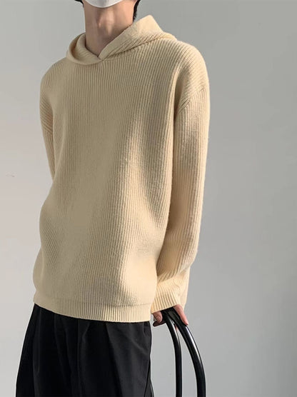 Hooded Wool Blend Pullover Knit Sweater WN9642